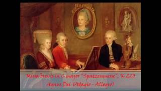 Agnus Dei Spatzenmesse Mozart [upl. by Kieffer421]