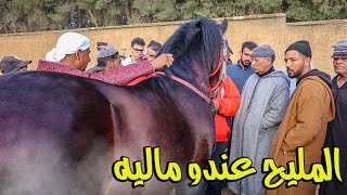 سوق الثلاثاء الخميسات 19042022 تباع عود بركي راس السوق ب 17000 درهم ناس بدات كتوجد لماسم [upl. by Ryhpez]