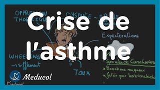 Crise dasthme traitement symptômes et DEP asthme [upl. by Letsyrhc]