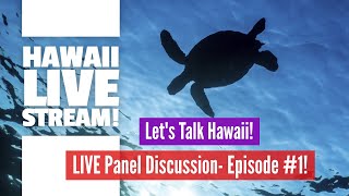 Hawaii LIVE Stream Panel Discussion  All about Going to Hawaii  Hawaii Travel [upl. by Wivinah]