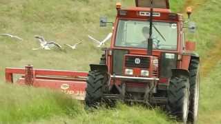 Mowing Silage Fiat 11090 [upl. by Dulcle]