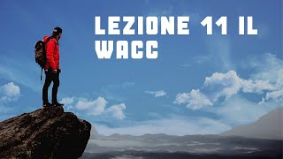 LEZIONE 11 WACC E CALCOLO DEL BETA [upl. by Ahsenre623]