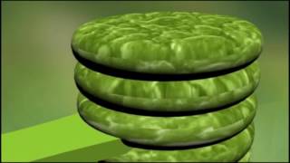 Chloroplast Animation [upl. by Anica]