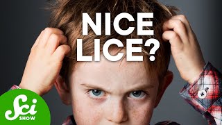 Why Lice Are So Hard To Kill [upl. by Hwu211]