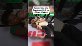 Speed destroyed Adin in UFC 🤯👊 [upl. by Bartel]