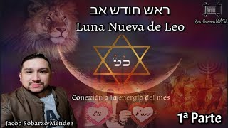 quotCONSCIENCIA DEL MES DE LEO  TRABAJO PERSONAL CARACTERÍSTICAS LEONINAS Y REPARACIÓN 1° PARTE [upl. by Hallvard212]