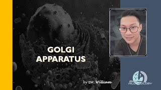 Golgi Apparatus by Dr William [upl. by Graniela12]