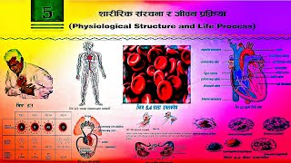 Physiological Structure and Life Processes  Class 10 Chapter 5 Exercise in Nepali [upl. by Yllod]