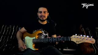 Guitarra Tagima TG 500  Review [upl. by Imray]