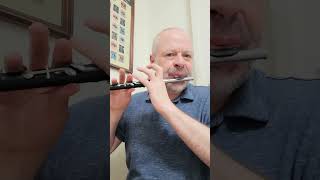 Tuesday Improvisation  Basler Piccolo [upl. by Riannon]