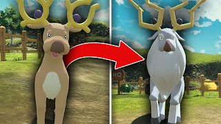 HOW TO EVOLVE STANTLER INTO WYDEER IN Pokemon Legends Arceus [upl. by Rramahs]