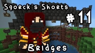 Sqorcks Shorts 11 Bridges [upl. by Ailemap]