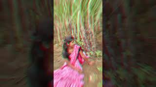 ♥️🥰🥰🥰✌️rupali avinash shortvideos [upl. by Ennairoc775]