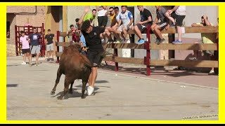 POZUELO DE ARAGÓN ZARAGOZA TARDE VACAS EN CALLE SABADO 29 JULIO 2023 GANVIRGEN DE SANCHO ABARCA [upl. by Novyad223]