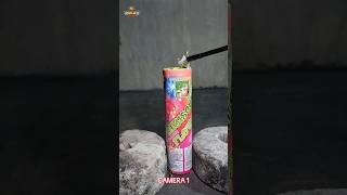 HIBISEUS FLOWERS CRACKLING FOUNTAIN BY TIGER FIREWORKS fireworks diwali pyrotechnics trending [upl. by Gladwin]