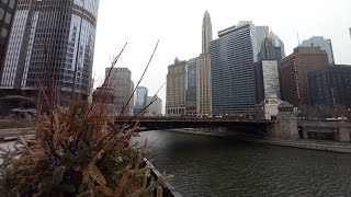 Street road Chicago Downtown USA 🇺🇸 [upl. by Anoyk115]