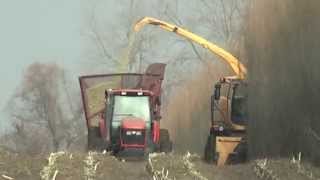 Shrub Willow Harvest Using New Holland 130FB Cutting Header [upl. by Ardeha]