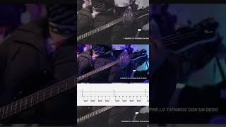 🔥 losconcorde  rompecabezas 🎸 basscover lesson tab  Full cover on chanel [upl. by Yddet635]