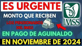 🚨 ¡Atención Pensionados La Cantidad de Aguinaldo que Recibirán del IMSS es Impactante 💵 [upl. by Nwadrebma658]