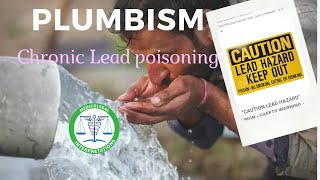 PLUMBISM Chronic Lead poisoning [upl. by Nsaj552]