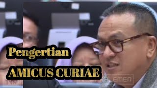 Pengertian dan Sejarah Amicus Curiae [upl. by Orlantha930]