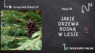 Przyroda klasa 4 Lekcja 38  Jakie drzewa rosną w lesie [upl. by Ecnerol]