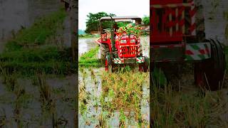 Jonis ka naam se jonis Mahindra tochan raja shotsvideo viralvideo viralvideo viralvideo viral [upl. by Hach]