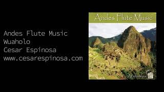 WUAHOLO  ANDES FLUTE MUSIC  SOUTH AMERICAN MUSIC  FLUTES [upl. by Germin260]