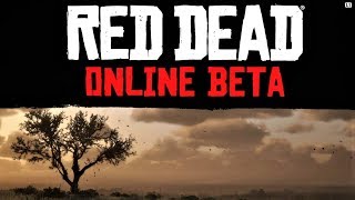 Our Red Dead Redemption Online Detailed Character Creation Lets Play RDRO 60fps HD Gameplay [upl. by Ahsini]