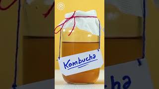 Kombucha Descubre los Increíbles Beneficios para la Salud de la Kombucha salud sabiasque [upl. by Inatsed]