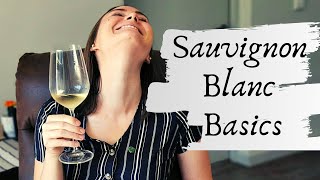 SAUVIGNON BLANC WINE What is Sauvignon Blanc Basic introduction to the regions amp characteristics [upl. by Malorie590]