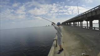 Pigfish and White Trout on Bob Sykes Fishing Pier [upl. by Hatcher]