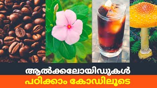 LDC 2024Alkaloids ആൽക്കലോയിഡുകൾപഠിക്കാം ഈസിയായി kerala Psc Malayalam [upl. by Tortosa]