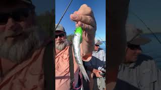 Warren Frederickson Outdoors is live Oroville chinook [upl. by Eivlys]