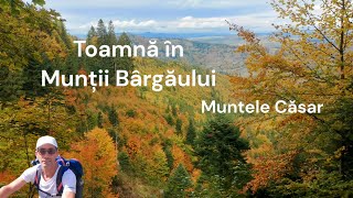 Culori de toamnă în Munții Bârgăului [upl. by Sumner]