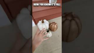 🎃 How you know its fall 🎃funny pumkins fall itsfallyall [upl. by Naletak]