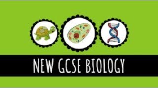 Evaporation and Transpiration  91 GCSE Biology [upl. by Aicinoid634]