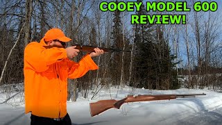 COOEY Model 600 Bolt Action 22 RIFLE REVIEW [upl. by Infeld647]