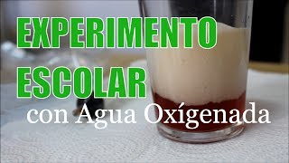 💙 EXPERIMENTO  DESCOMPOSICIÓN del AGUA OXIGENADA 💙 [upl. by Mountford598]