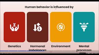 Cognitive Psychology [upl. by Giulio]