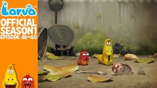 Official LARVA Season 1 Episode 46  60 [upl. by Furie]