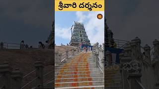 TTD దేవస్థానం శ్రీవారి దర్శనం  Film nagar temple  venkateswara swamy temple hyderabad devotional [upl. by Lou]