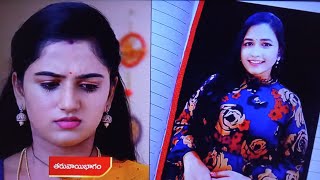 Paape maa jeevana Jyothi serial today promoఅలెక్య ఫోటో ని డైరీలో చూసి షాక్ అయ్యి పడుతున్న ఆనంది [upl. by Hermie]