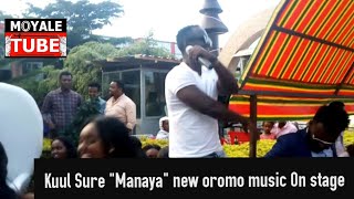 Kuul Sure quotManayaquot new oromo music On stage [upl. by Oswin138]