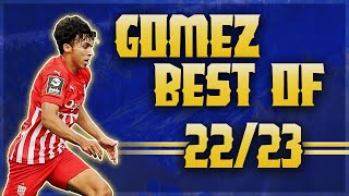 Johan Gómez Best of 202223 [upl. by Eellac]