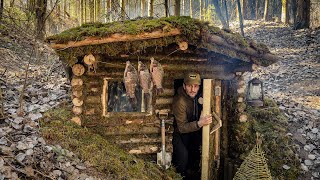 7 DAYS of building Survival Shelters  Bushcraft Earth Hut log and moss walls ASMR [upl. by Neelahtak929]