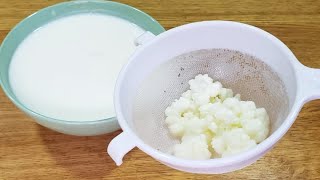 Cómo Hacer KÉFIR CORRECTAMENTE para el Máximo de Beneficios Búlgaros de Leche  Receta y Consejos [upl. by Enidanreb]