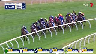 2024 Sportsbet Caulfield Cup 2400M  Caulfield  Duke De Sessa 3YOG1 [upl. by Gnahk43]