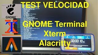 ALACRITTY vs GNOME Terminal vs Xterm  time tree  Test de velocidad V098 [upl. by Halimaj]