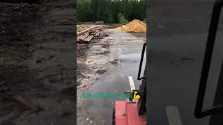 Picking Up Logs at the Sawmill 🪵🪓  wood firewood woodworking forklift sawmill chainsaw [upl. by Norbel202]